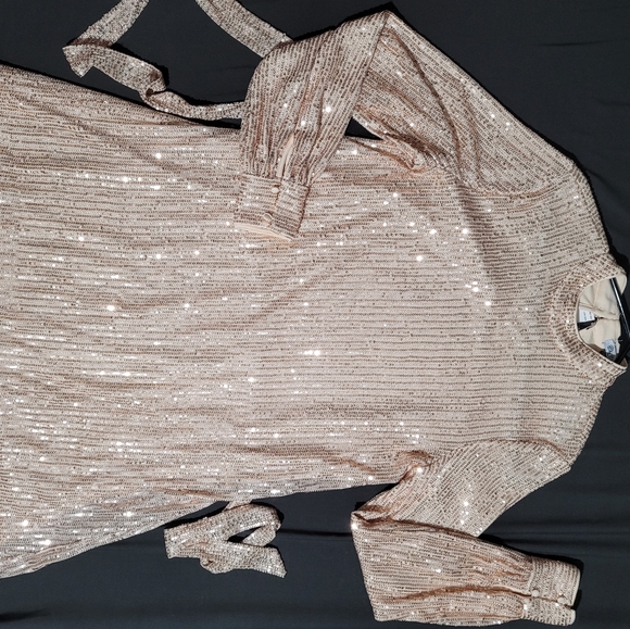 Champagne color evening dress size 4 fits to 10 - Picture 6 of 7